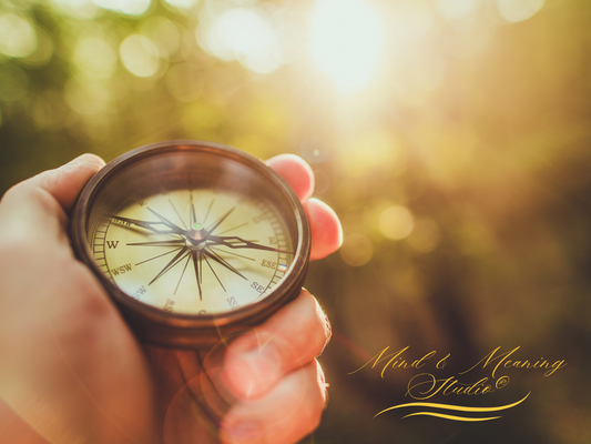 The Wanderer Series - Guided Meditation